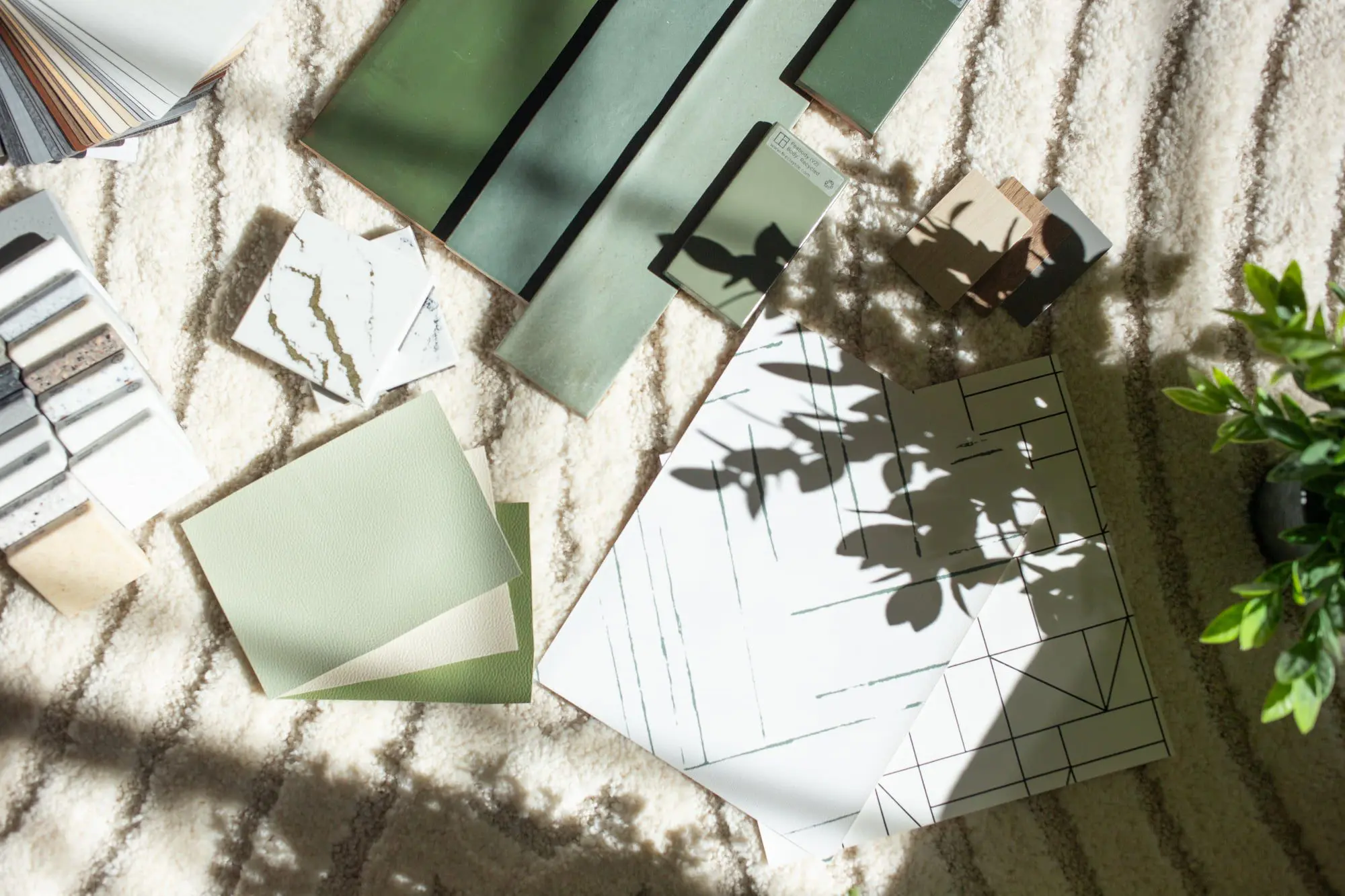 Material samples in green and neutral tones, like orthodontic appliances, on carpet with plant shadows at Emerald City Orthodontics in Kirkland, WA.
